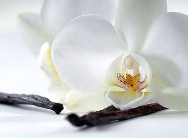 Фотопанно Divino Орхидея и ваниль (C-321) оптом
